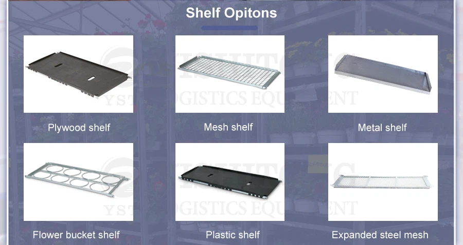 shelf options