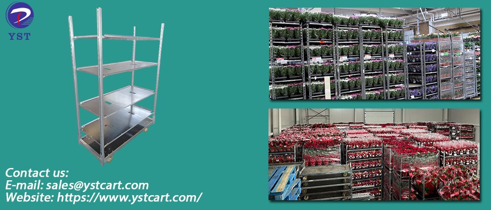 Advantages of cultivate flower on Nursery Carts Advantages of cultivate flower on Nursery Carts