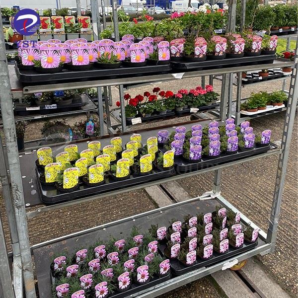Dutch Cart For Garden