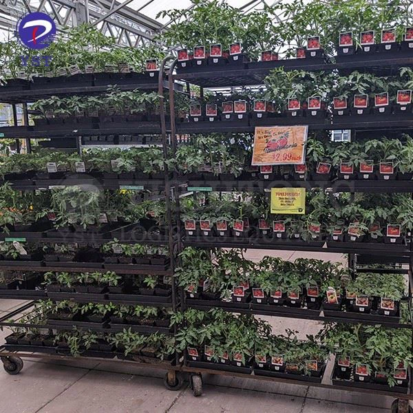 Dutch Trolley For Florists