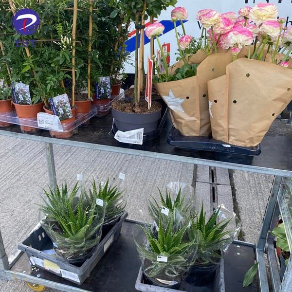 Greenhouse Transport Carts