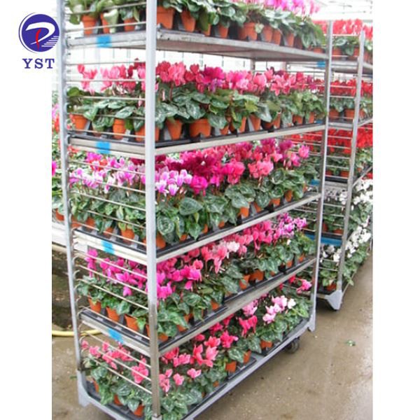 Rolling Cart Plant Stand