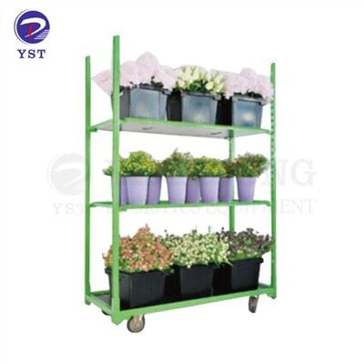 Greenhouse Transport Carts
