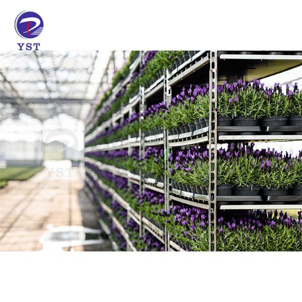 Cc Flower Trolley