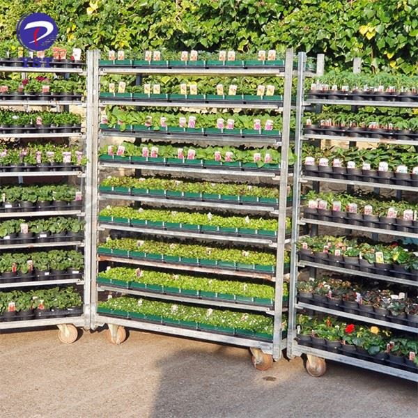 Danish Trolley Mesh Shelves