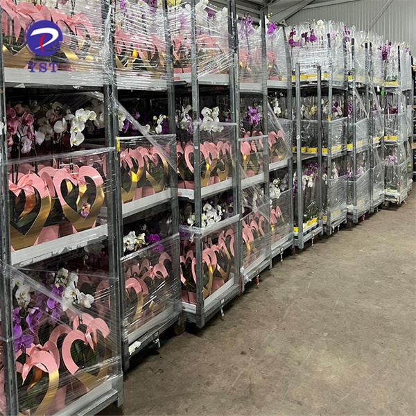 Garden Nursery Trolleys