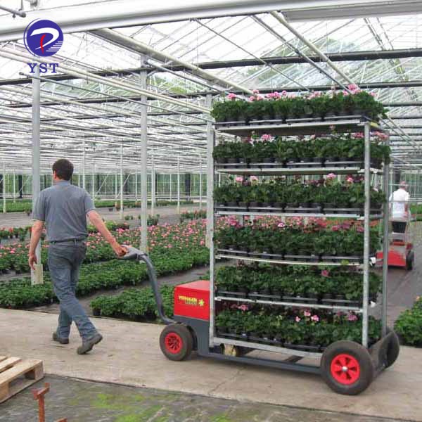 Greenhouse Flower Transport Cart