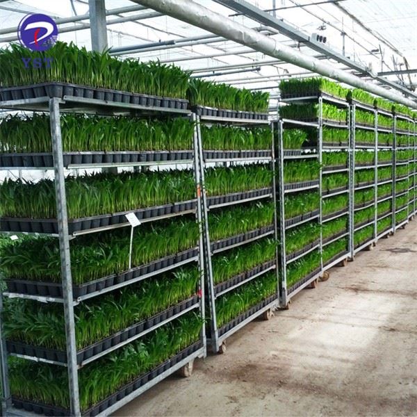 China Customized Greenhouse Rolling Racks Suppliers, Manufacturers ...