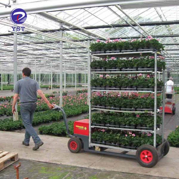 Greenhouse Transport Metal Flower Trolley Cart