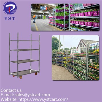 Why Using Plant Racks in Greenhouses Can Improve Efficiency?