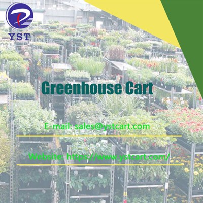 Revolutionizing Flower Delivery With Greenhouse Carts in Distribution Centers