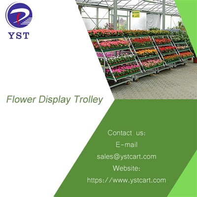 Creative Ways To Cultivate Flowers On A Flower Display Trolley