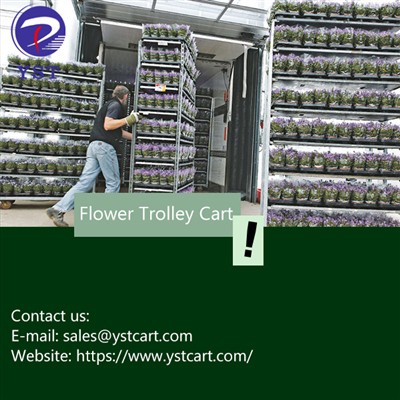 Choose Flower Display Trolley Solutions For Safe And Secure Flower Transporta...