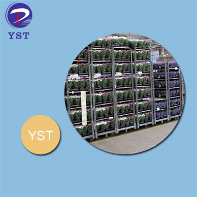 Say Goodbye To Heavy Lifting With Practical Flower Display Trolley Designs