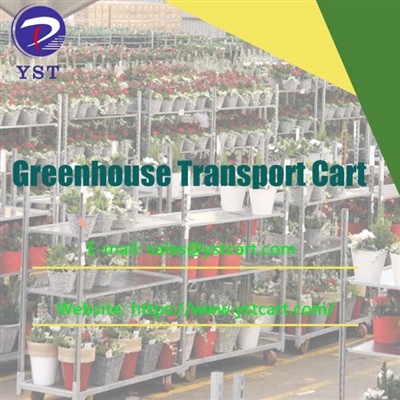 Boosting Productivity With The Help Of A Greenhouse Transport Cart