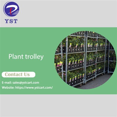 Maximizing Crop Yields With The Help Of Plant Trolleys in Agriculture