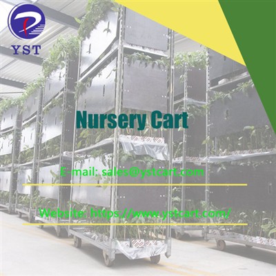 Enhancing Productivity And Efficiency: How Nursery Carts Are Helping Farmers ...