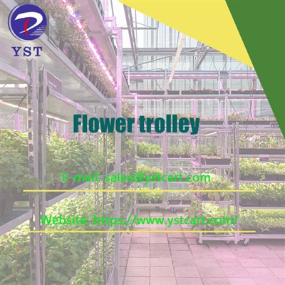 Why Flower Trolley Is A Must-Have For Successful Flower Cultivation