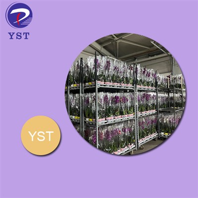 Transform Flower Cultivation With A Durable And Versatile Greenhouse Cart