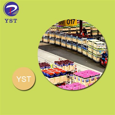Top Reasons Why The Flower Auction Industry Trusts Flower Auction Trolleys Fo...