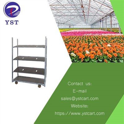 Increasing Horticulture Industry Competitiveness With Plant Trolleys