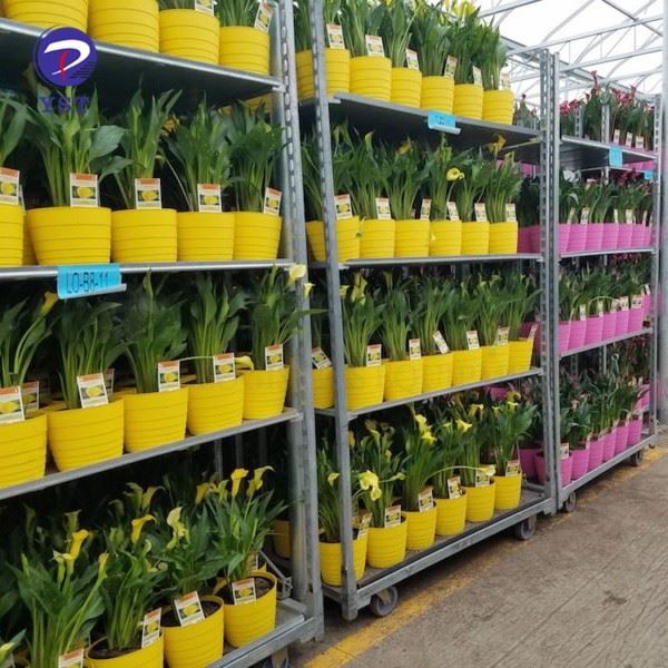 Plant Nursery Racks