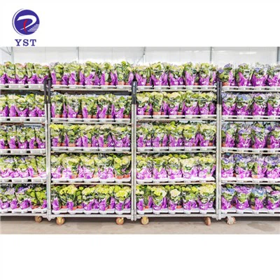 Gardening Flower Trolley Danish Cart