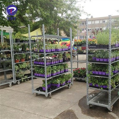 Greenhouse Galvanized Flower Carts