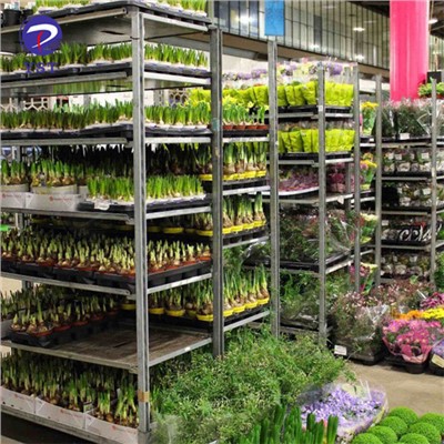 Greenhouse Plant Transport Cart