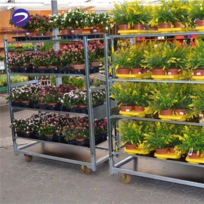Nursery Display Racks
