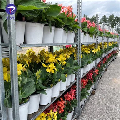 Plant Danish Rolling Metal Carts