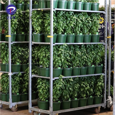 Rolling Plant Trolley