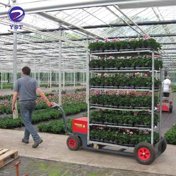 Transport Flower Racks