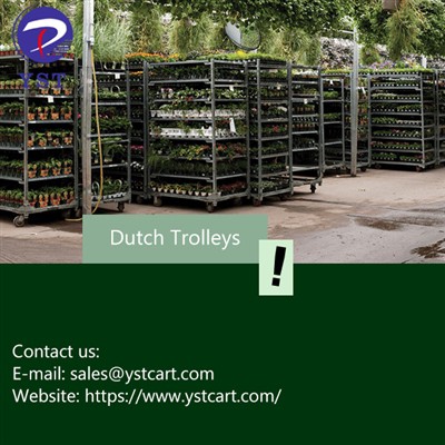 Why Dutch Trolleys Are A Must-Have For Modern Greenhouse Growing