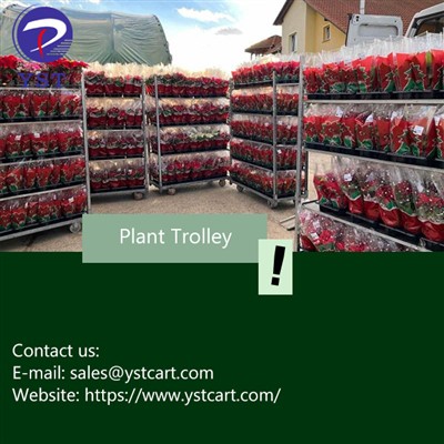 An Introduction To Plant Trolleys And Their Role in Nursery Operations