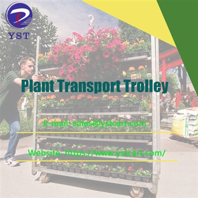 Implementing Plant Transport Trolley To Improve Profitability And ROI in Nurs...