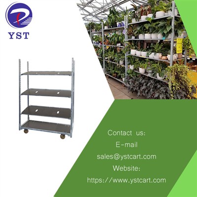Maximizing Convenience And Productivity With Nursery Plant Trolleys