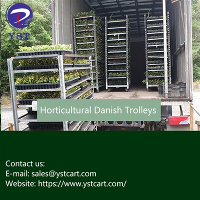 What Should You Pay Attention To When Packing Horticultural Danish Trolleys? ...