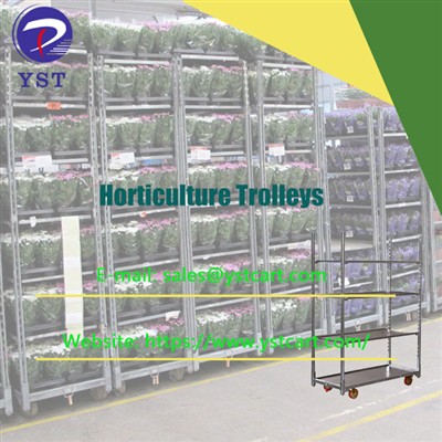 Maximizing Efficiency in Horticulture Operations With Horticulture Trolleys