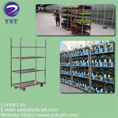 Danish Trolleys For Flower Farmers And Distributors