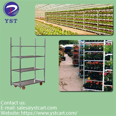 From Seed To Sale: How Plant Danish Trolleys Streamline Nursery Supply Chain