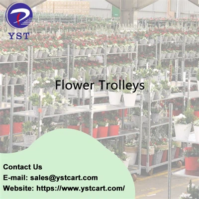 Flower Trolley: The Best Solution For Greenhouse Transportation Needs