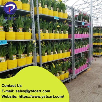 The Benefits Of Using Dutch Trolleys in The Horticultural Industry
