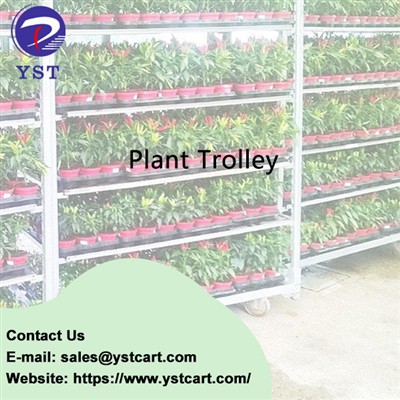 Revolutionizing Flower Distribution Centers With Plant Trolleys: A Complete G...