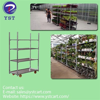 Why Plant Trolleys Are Essential For Efficient Flower Distribution Centers