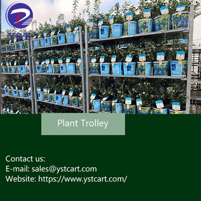 Investing in Plant Trolleys: Benefits For Flower Distribution Centers
