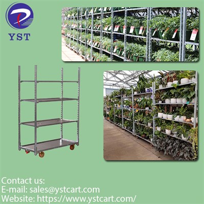 Choosing The Right Plant Trolleys For Flower Distribution Center