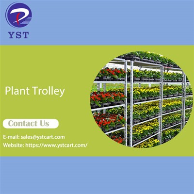 Streamlining Flower Distribution With Plant Trolleys And Other Equipment Inno...