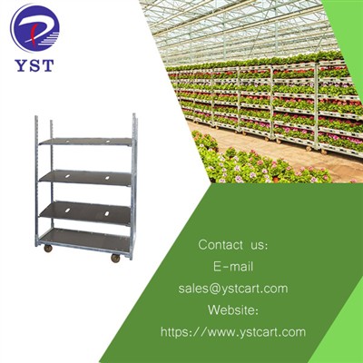 What Are The Uses Of Danish Trolleys in Greenhouses?