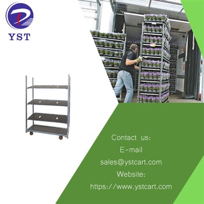 Maximizing Productivity With Flower Trolleys in The Floriculture Industry